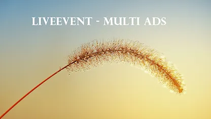 LiveEvent Multi Ads