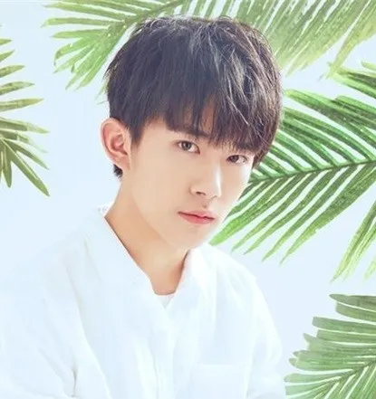 Nghệ sĩ Dịch Dương Thiên Tỉ