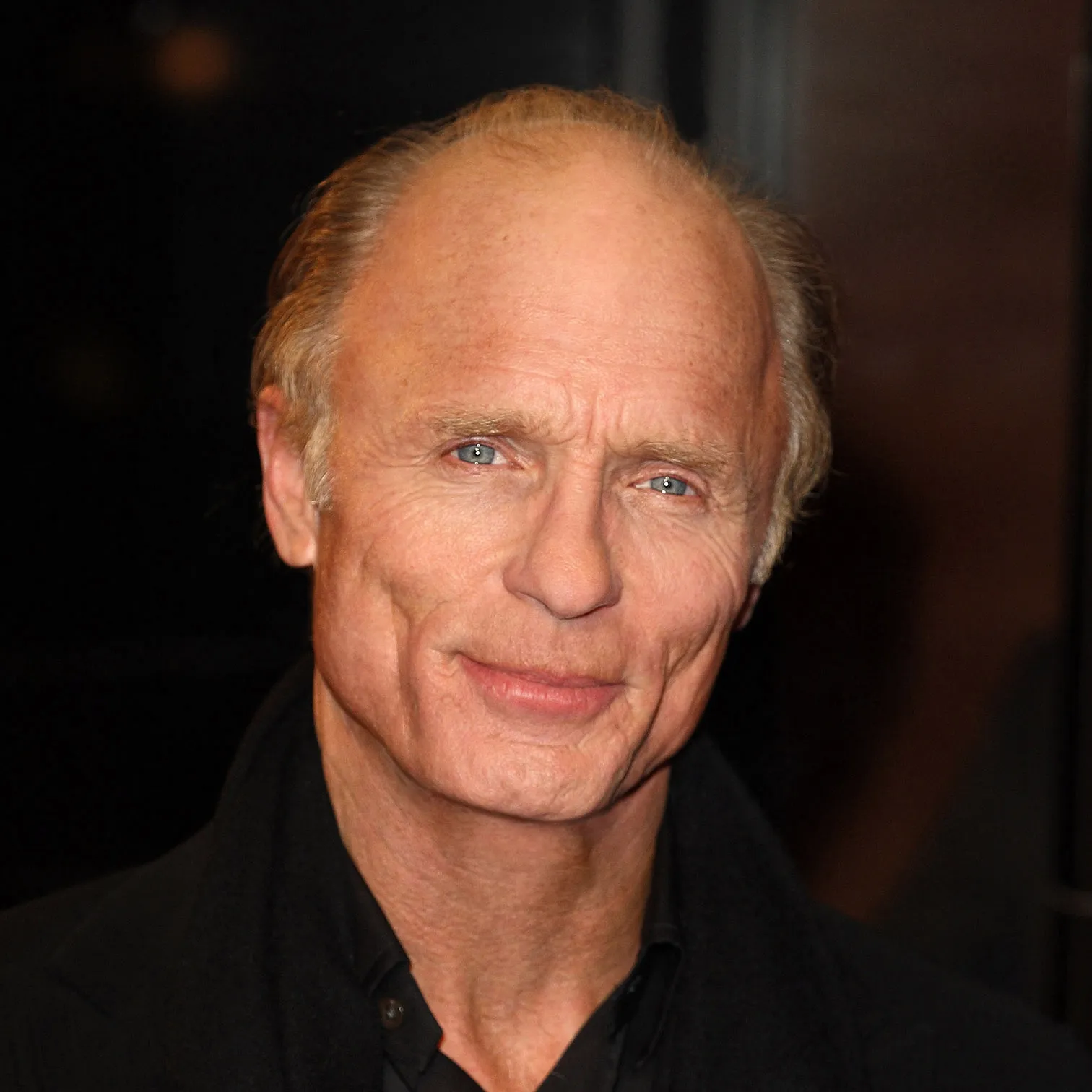 Nghệ sĩ Ed Harris