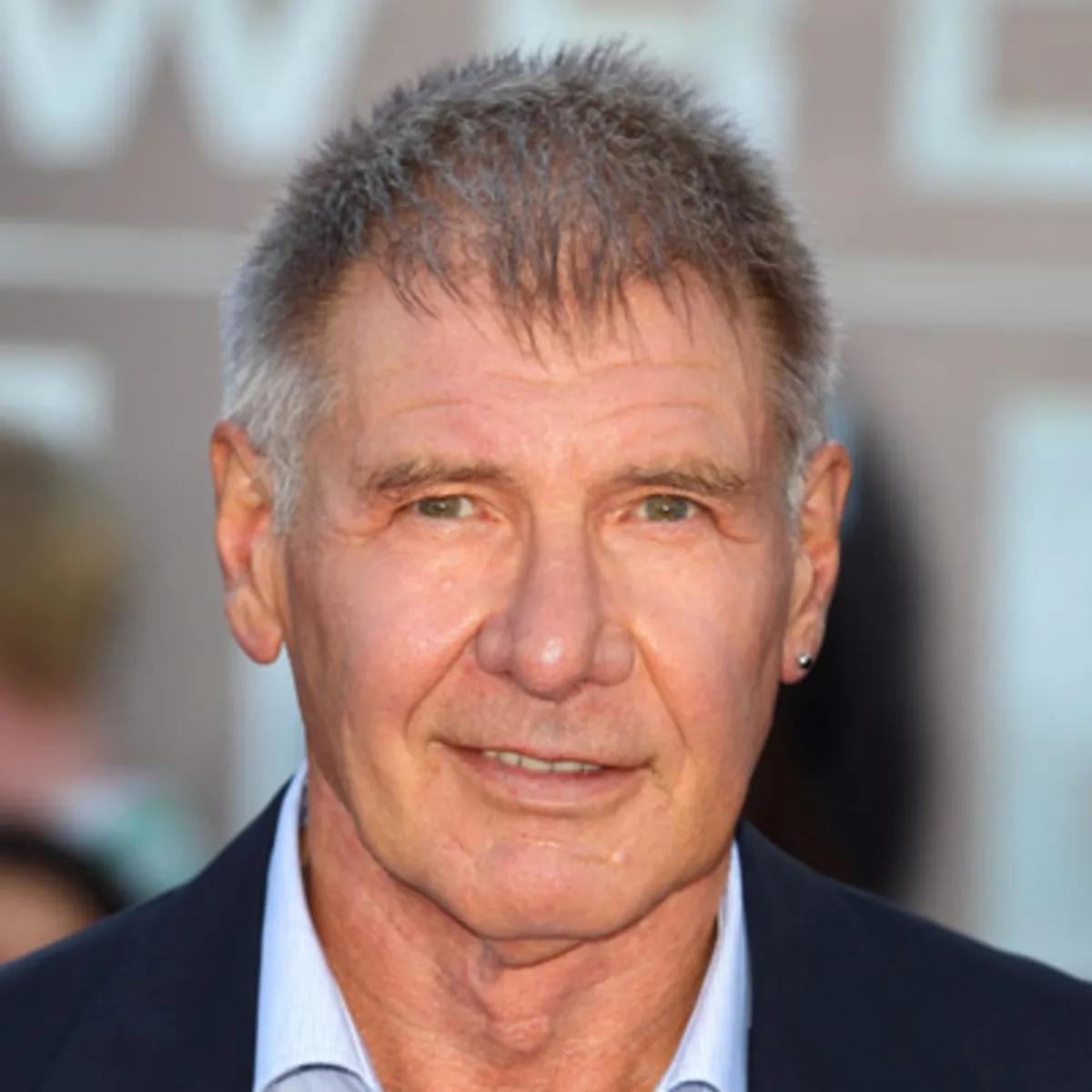 Nghệ sĩ Harrison Ford