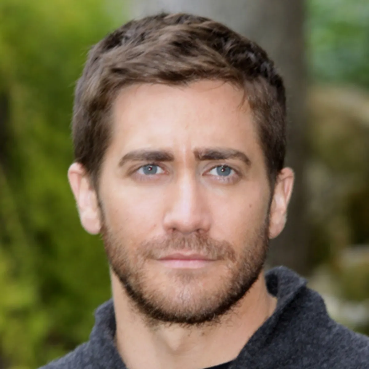 Nghệ sĩ Jake Gyllenhaal