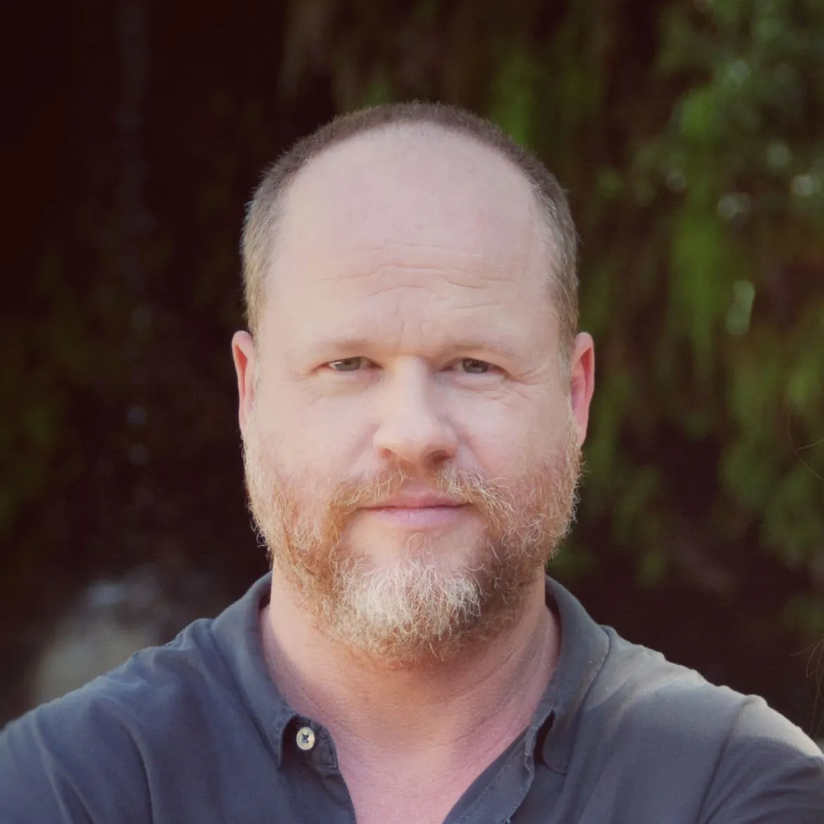 Nghệ sĩ Joss Whedon
