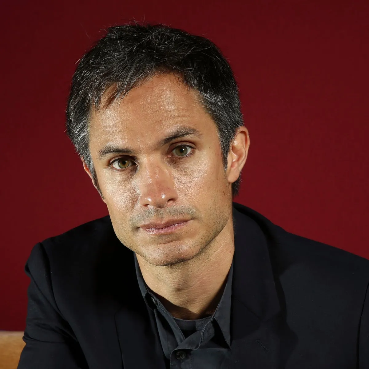 Nghệ sĩ Gael García Bernal