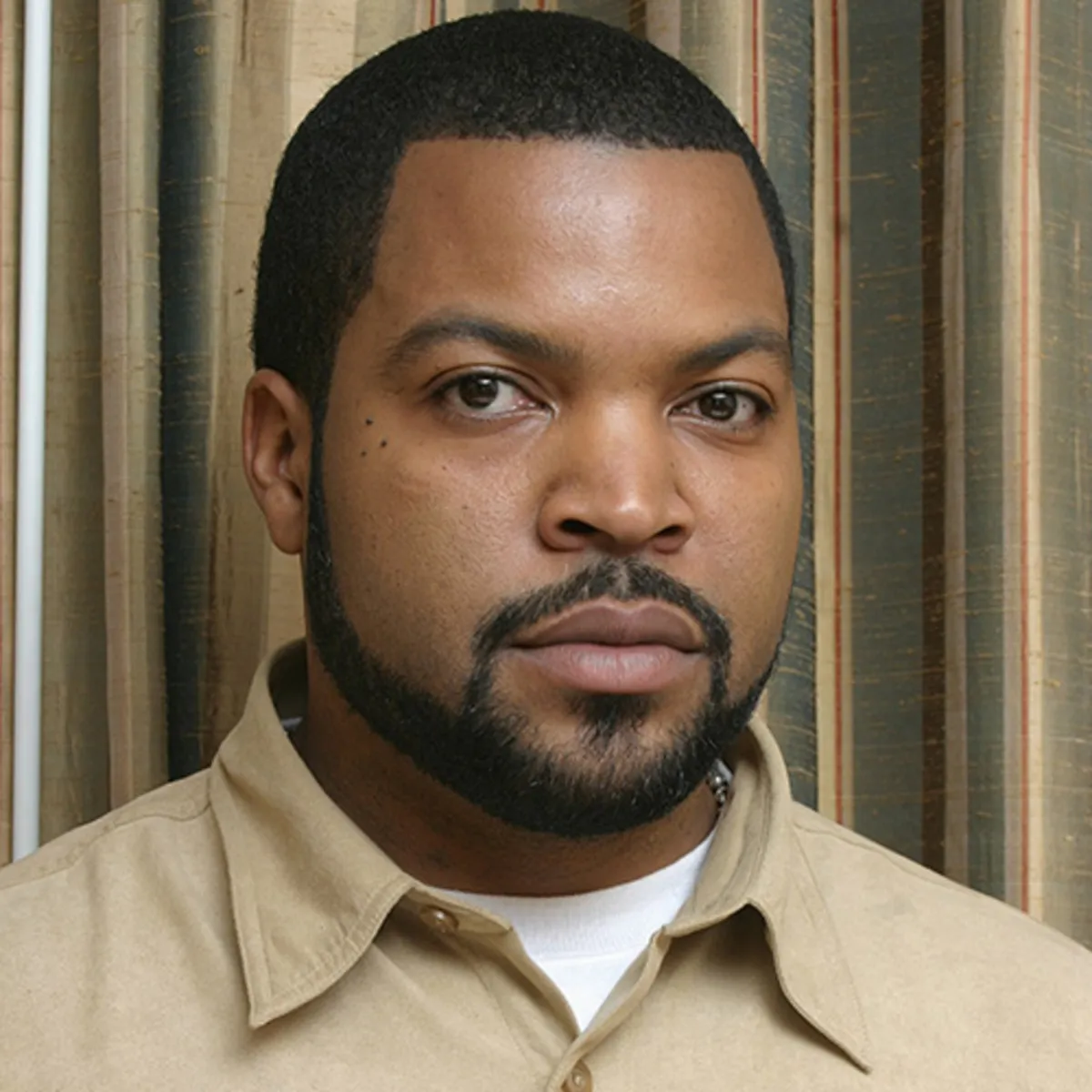 Nghệ sĩ Ice Cube