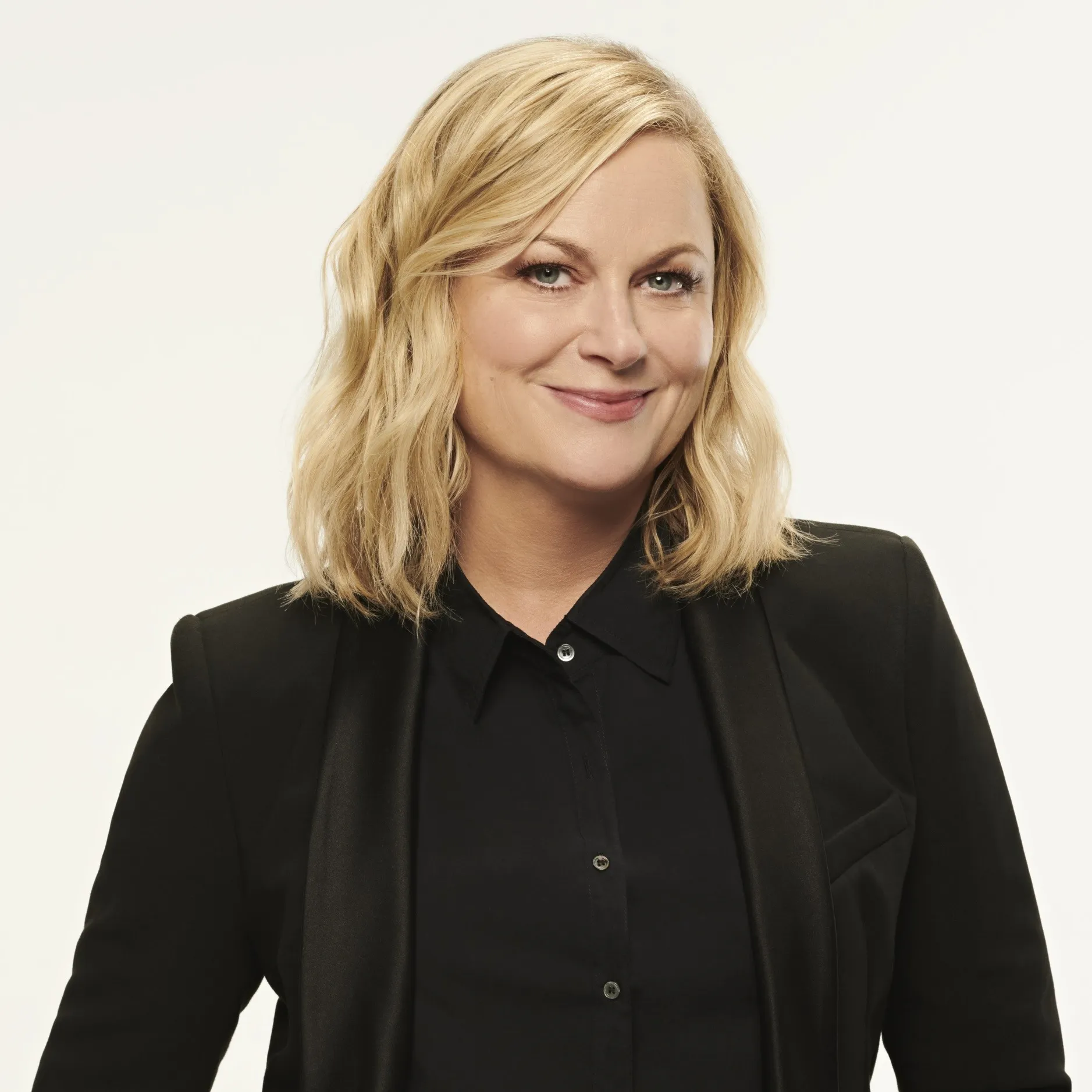 Nghệ sĩ Amy Poehler