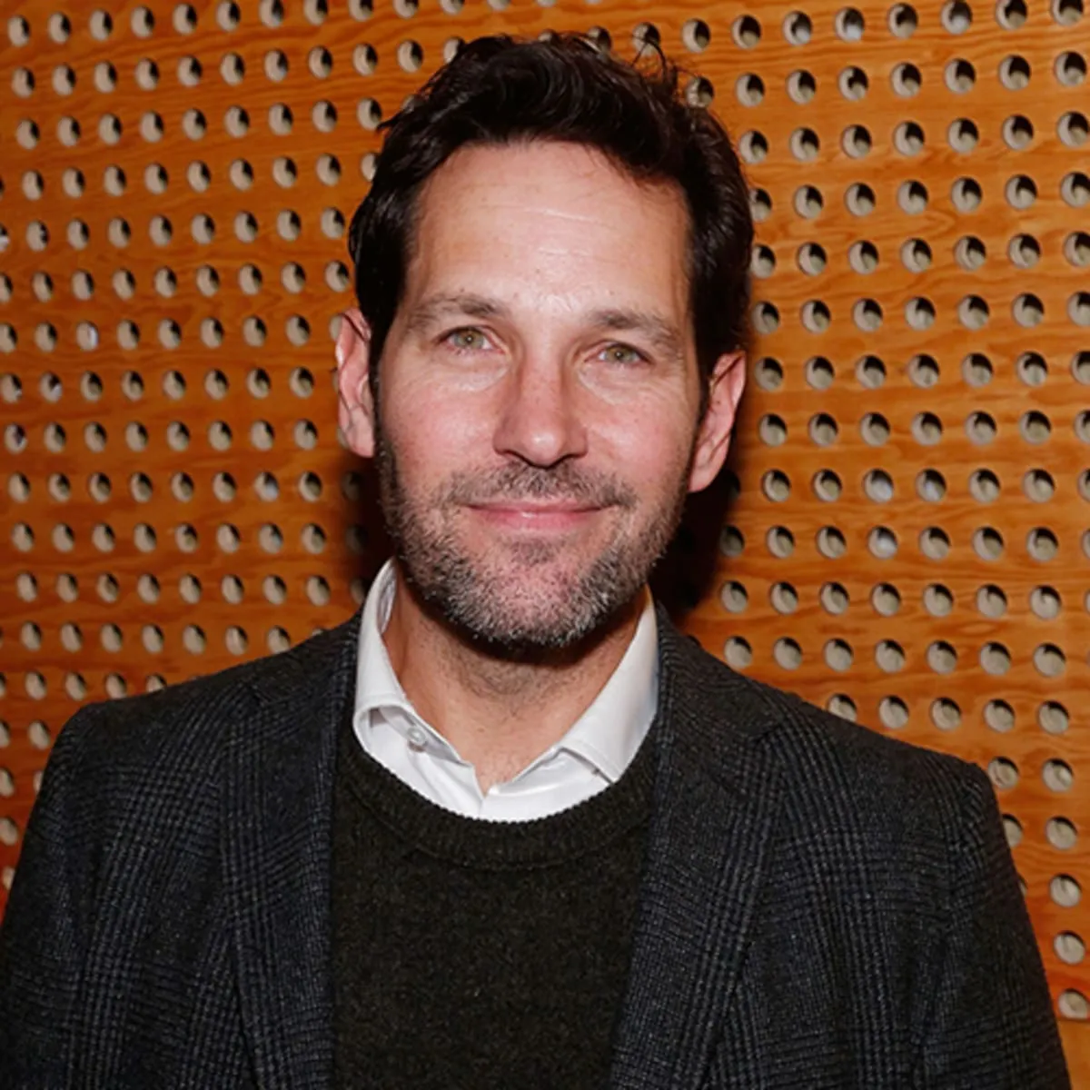 Nghệ sĩ Paul Rudd