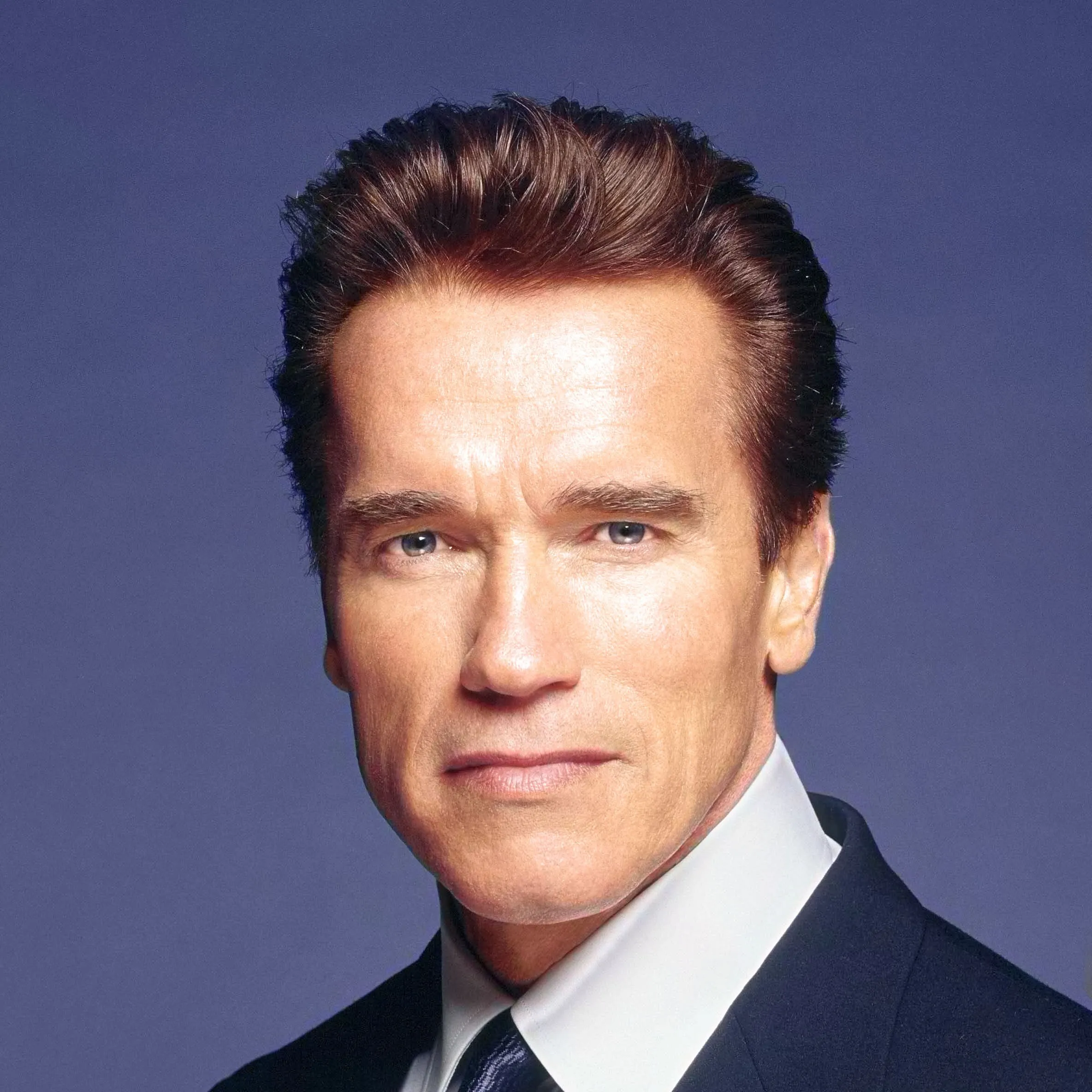 Nghệ sĩ Arnold Schwarzenegger