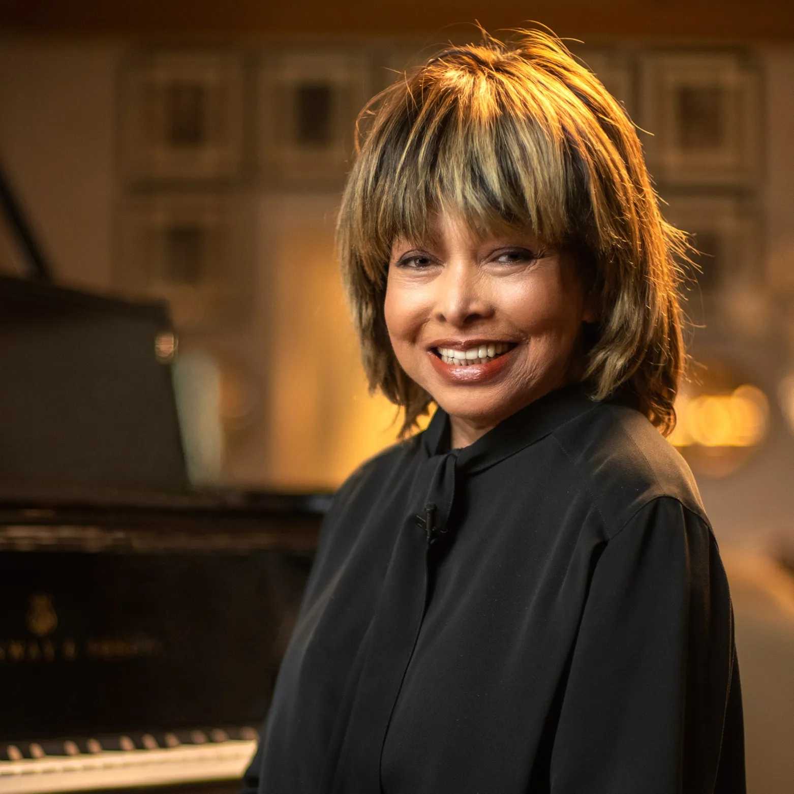 Nghệ sĩ Tina Turner