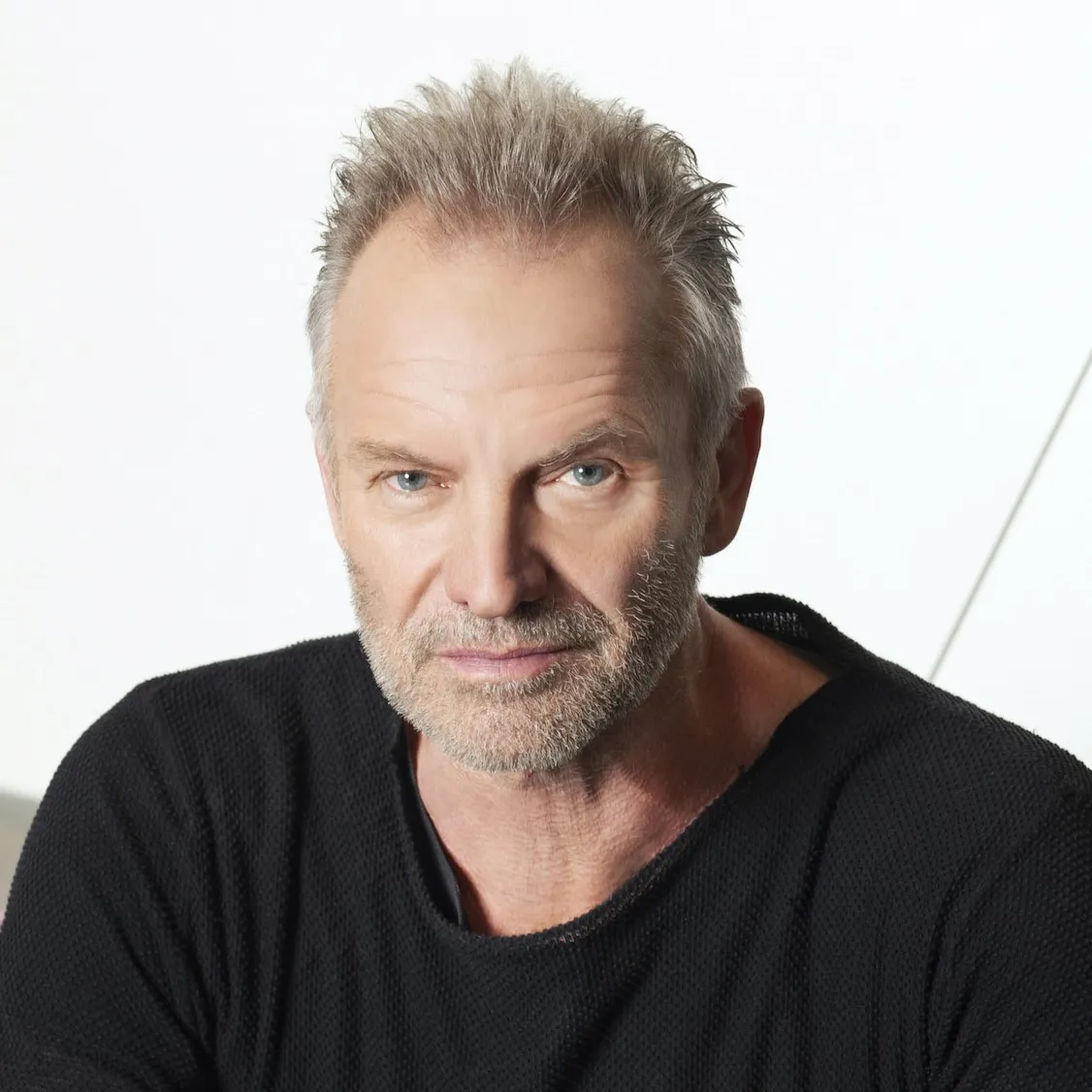 Nghệ sĩ Sting