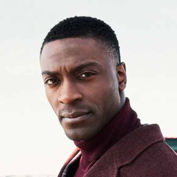 Nghệ sĩ Aldis Hodge