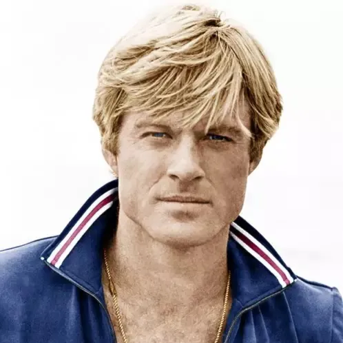 Nghệ sĩ Robert Redford