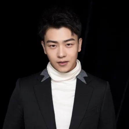 Nghệ sĩ Vu Tường