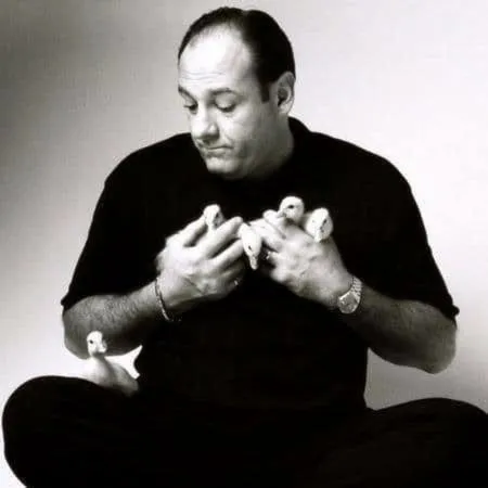 Nghệ sĩ James Gandolfini