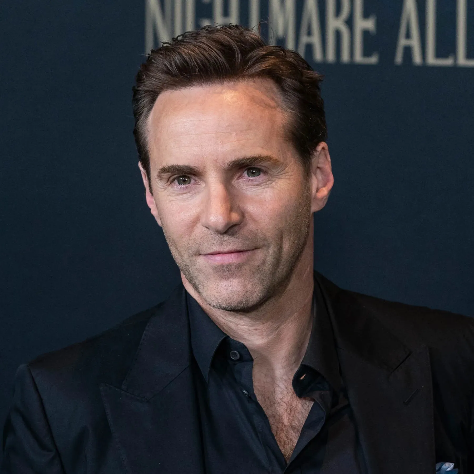 Nghệ sĩ Alessandro Nivola