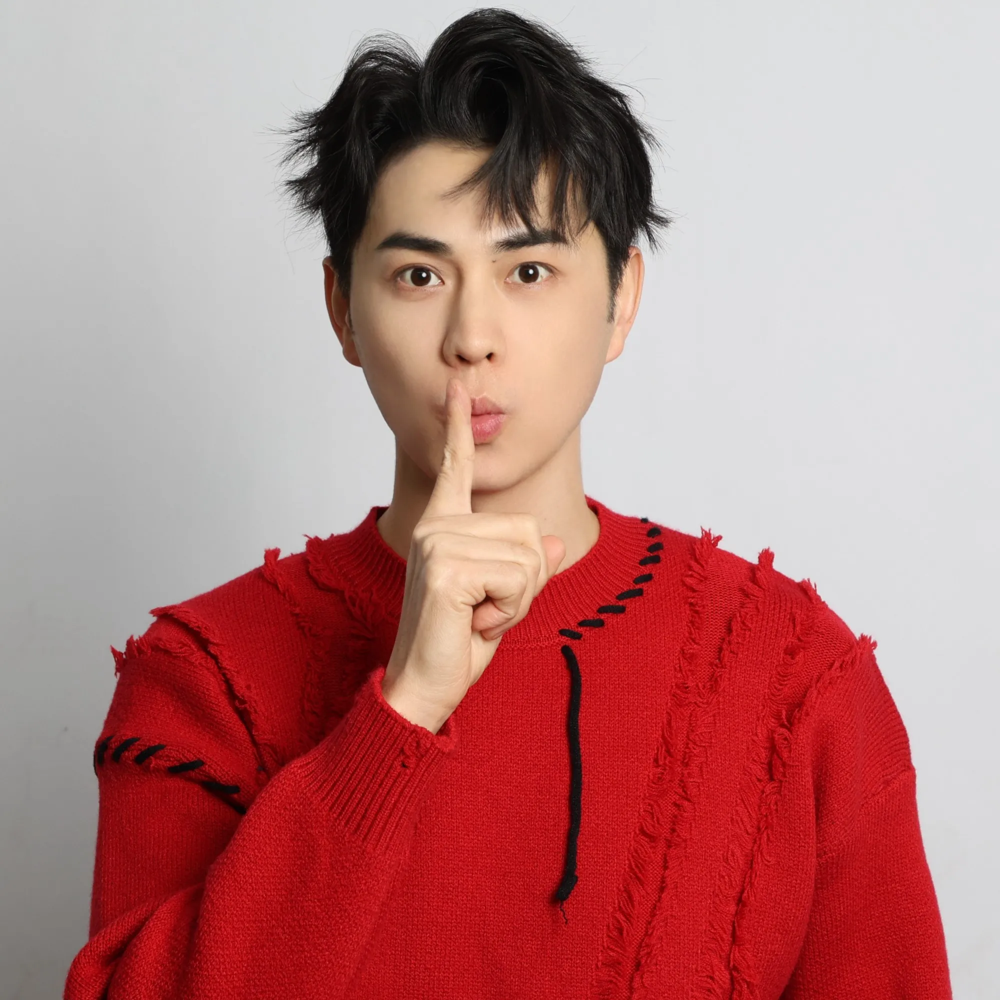 Nghệ sĩ Vương Ngạn Hâm