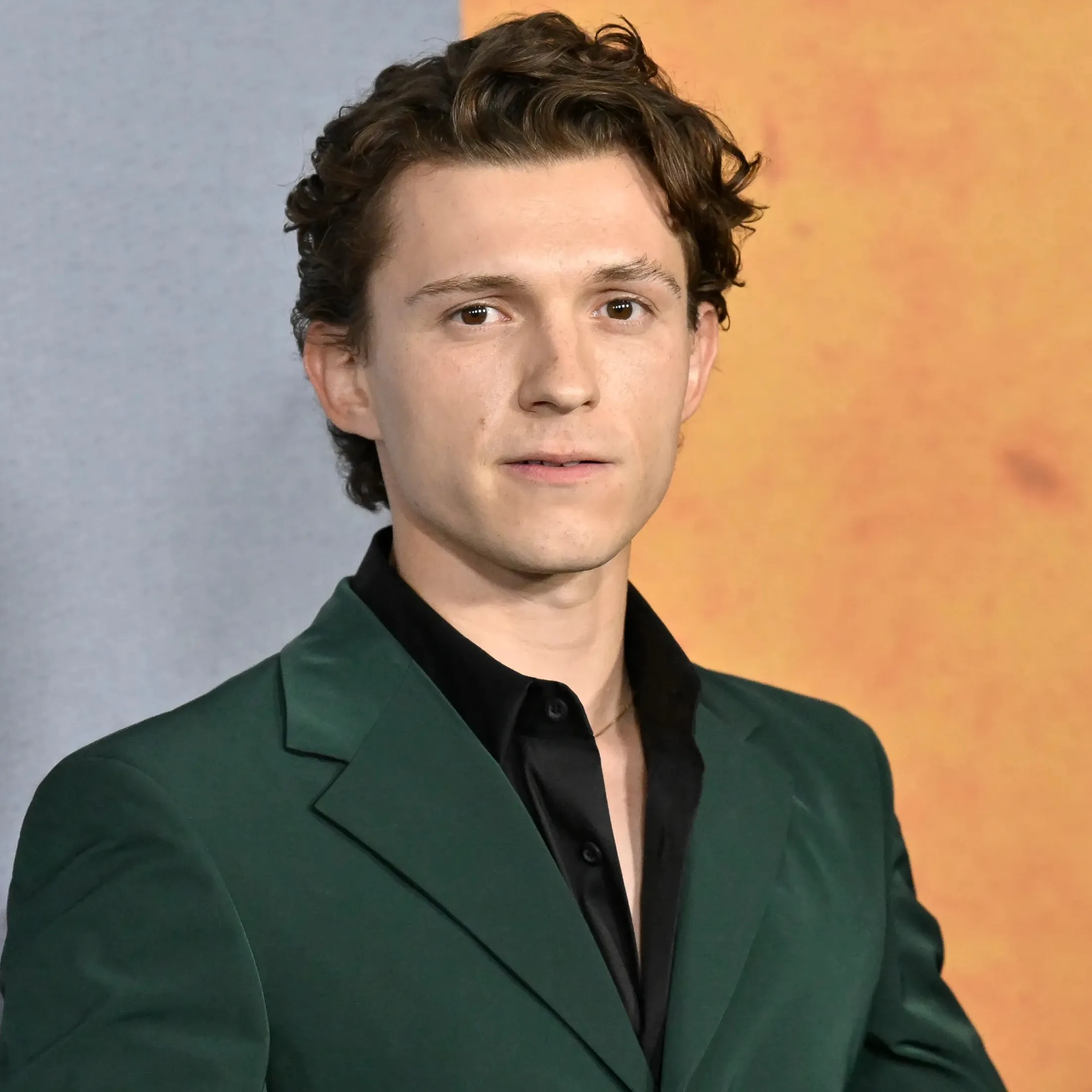 Nghệ sĩ Tom Holland