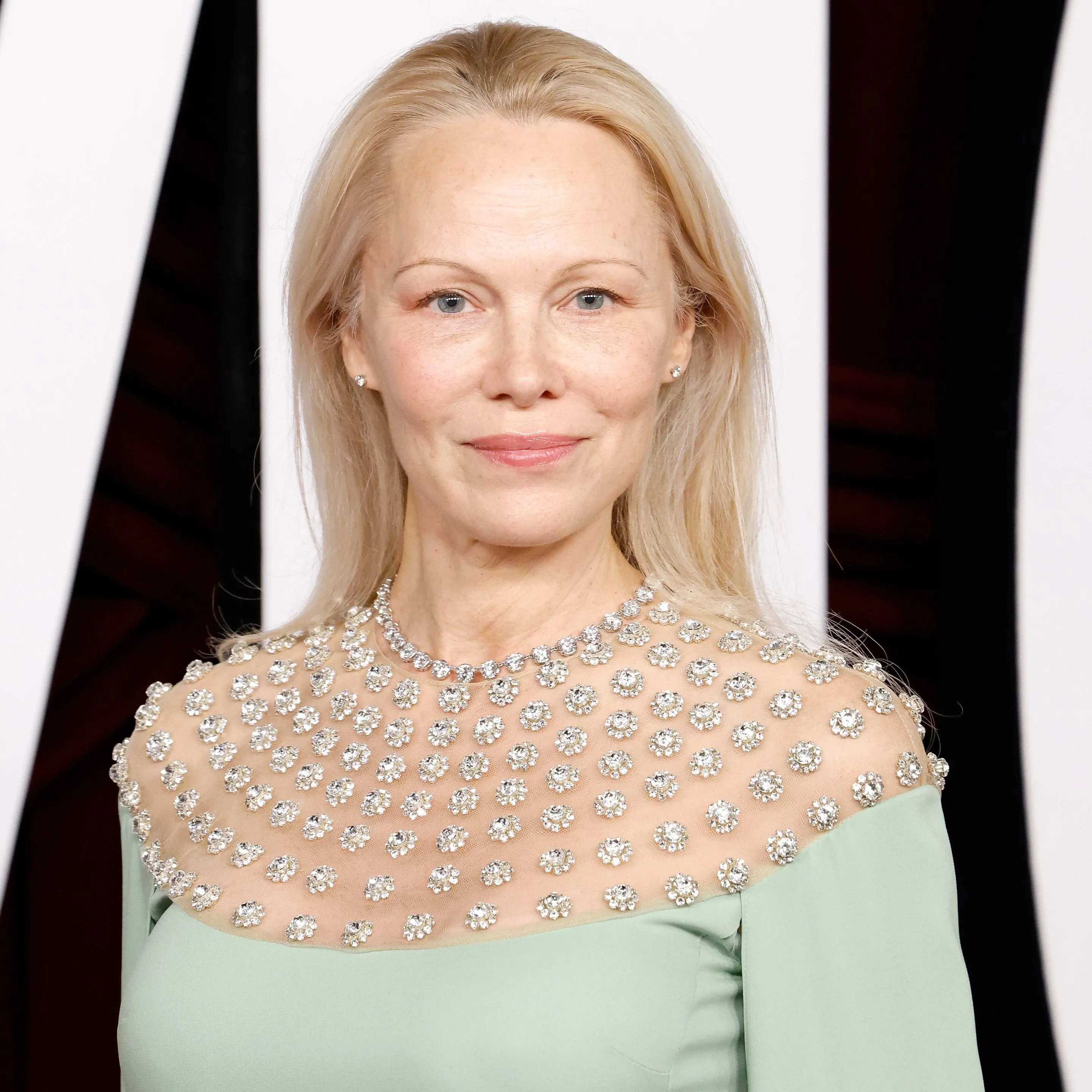 Nghệ sĩ Pamela Anderson