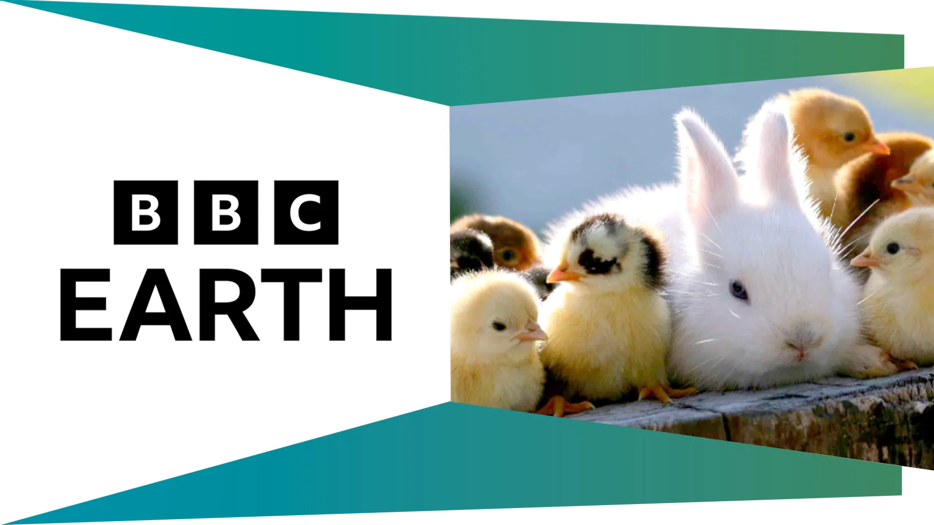 BBC Earth