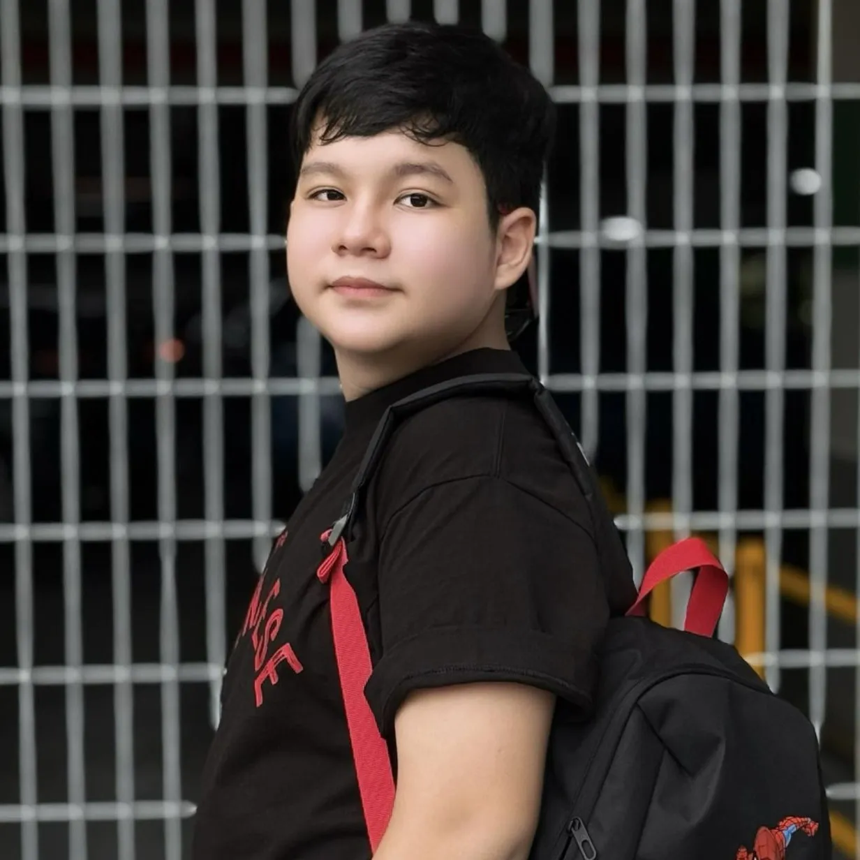 Nghệ sĩ Vương Hoàng Long