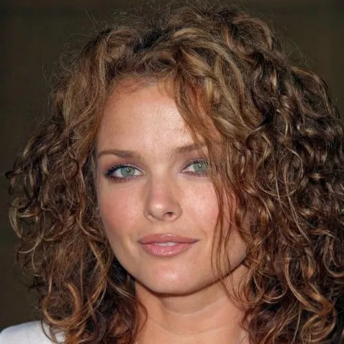 Nghệ sĩ Dina Meyer