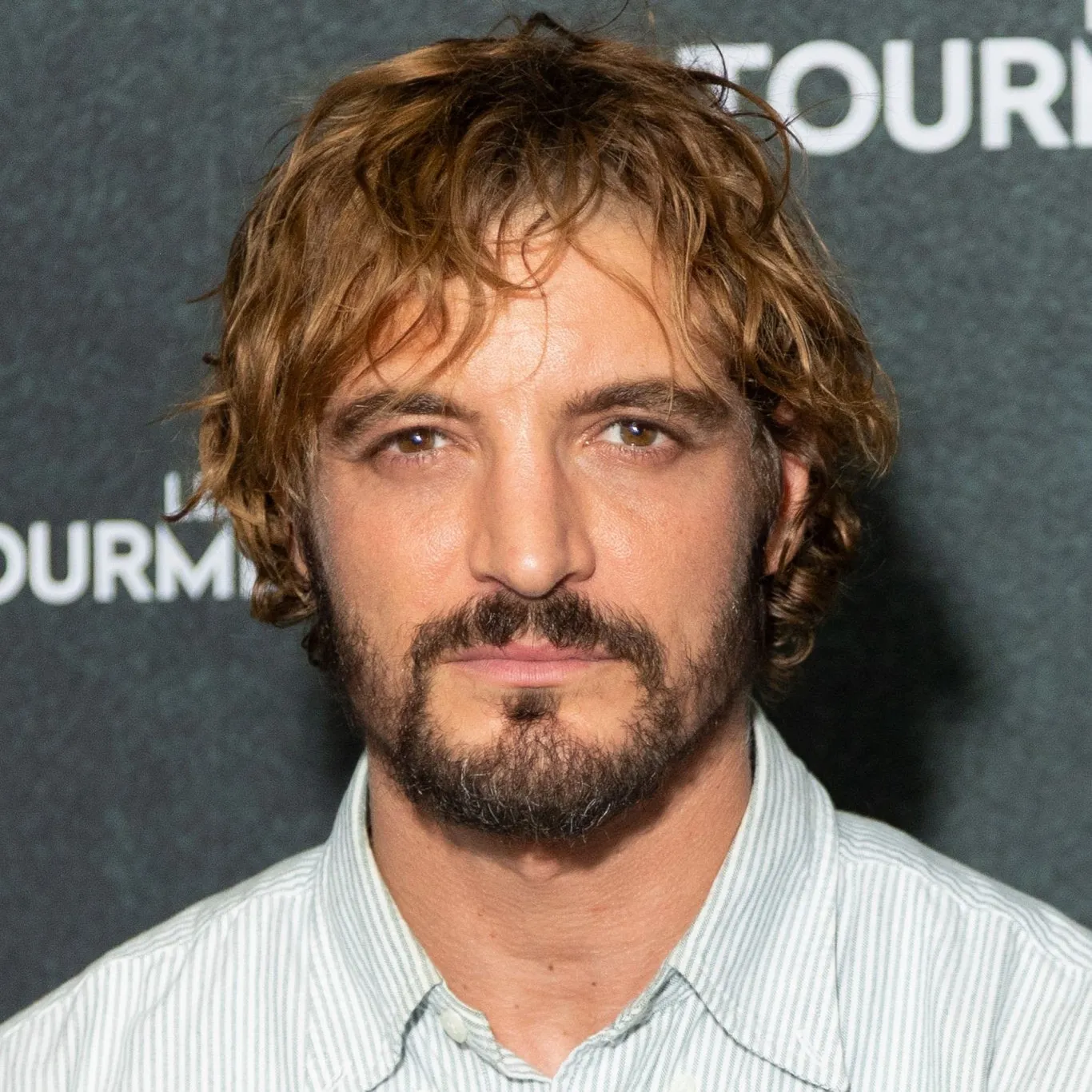 Nghệ sĩ Niels Schneider