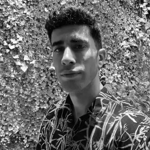 Nghệ sĩ David Charbonier