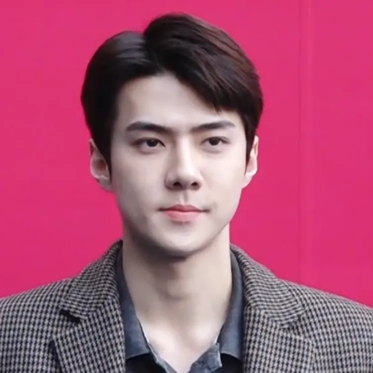 Nghệ sĩ Oh Sehun