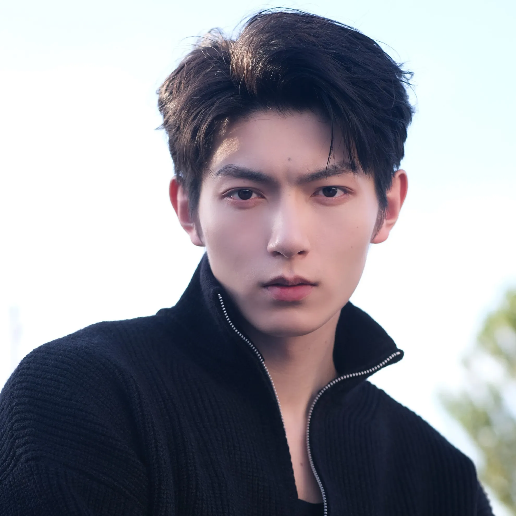 Nghệ sĩ Phàn Trị Hân