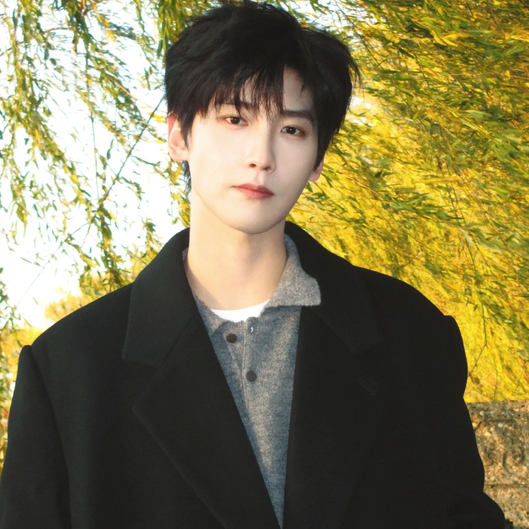 Nghệ sĩ Hình Chiêu Lâm