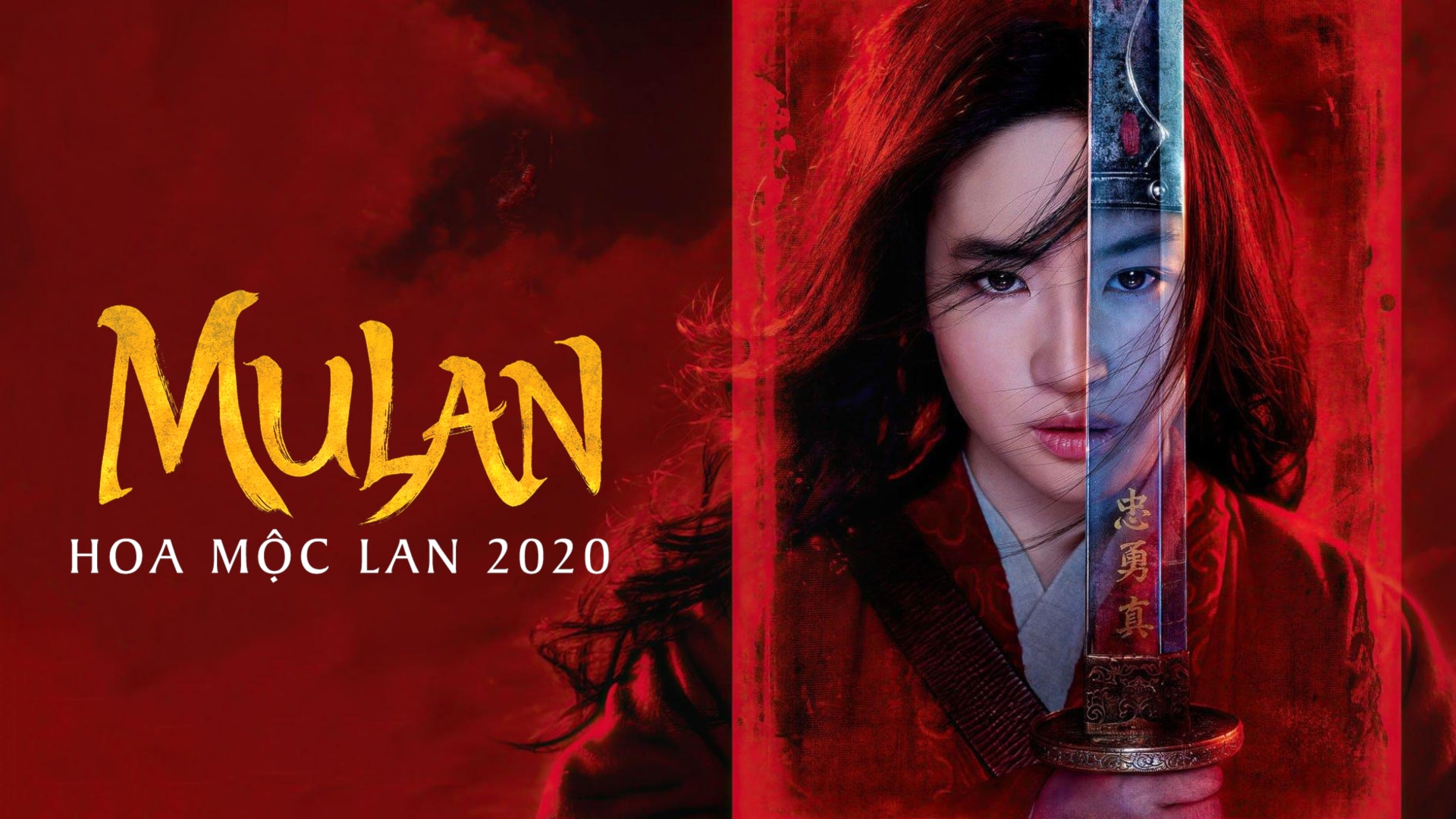 Hoa Mộc Lan 2020 | Vieon