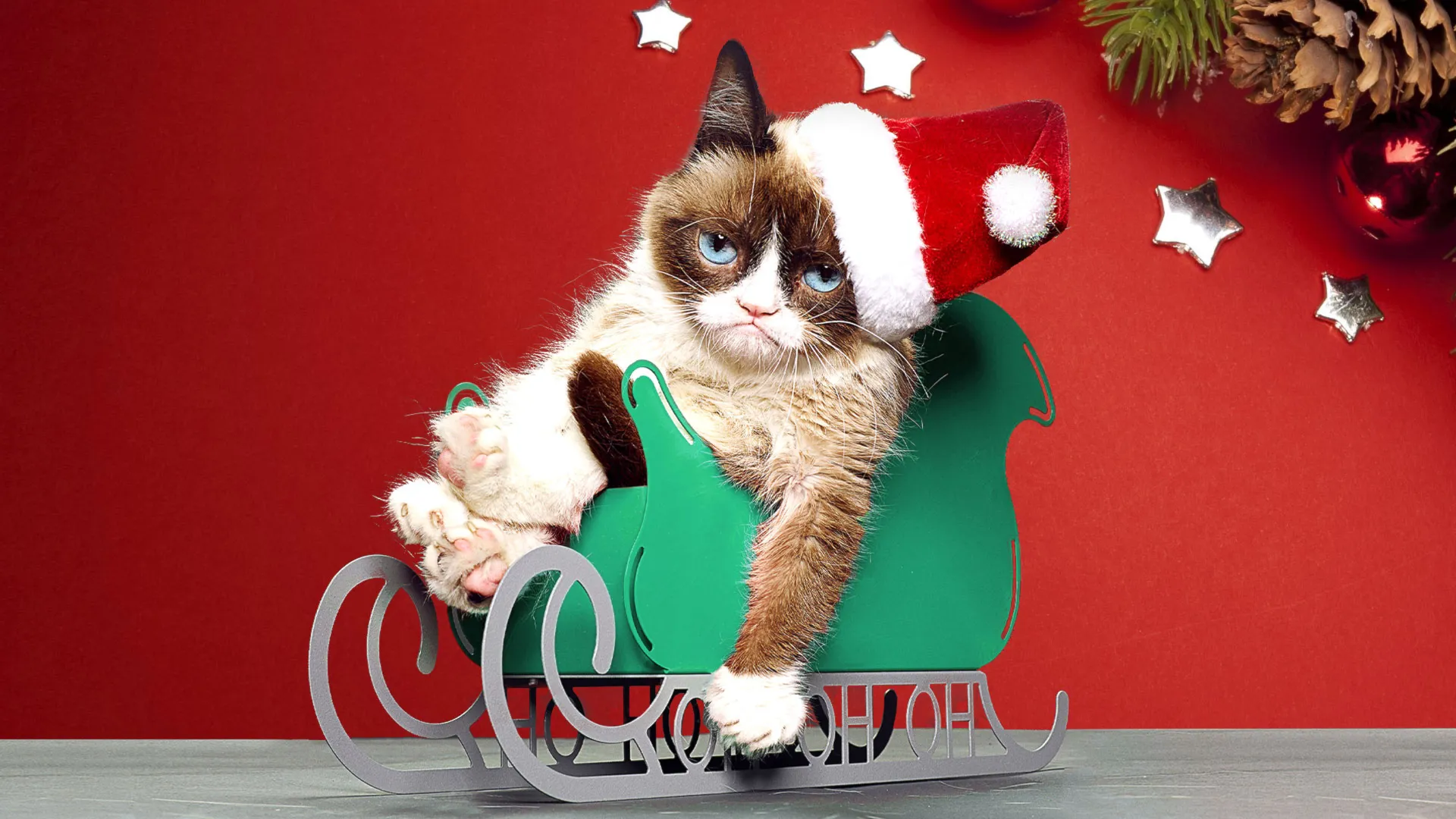 Giáng Sinh Tệ Nhất Của Mèo Grumpy - Grumpy Cat's Worst Christmas Ever