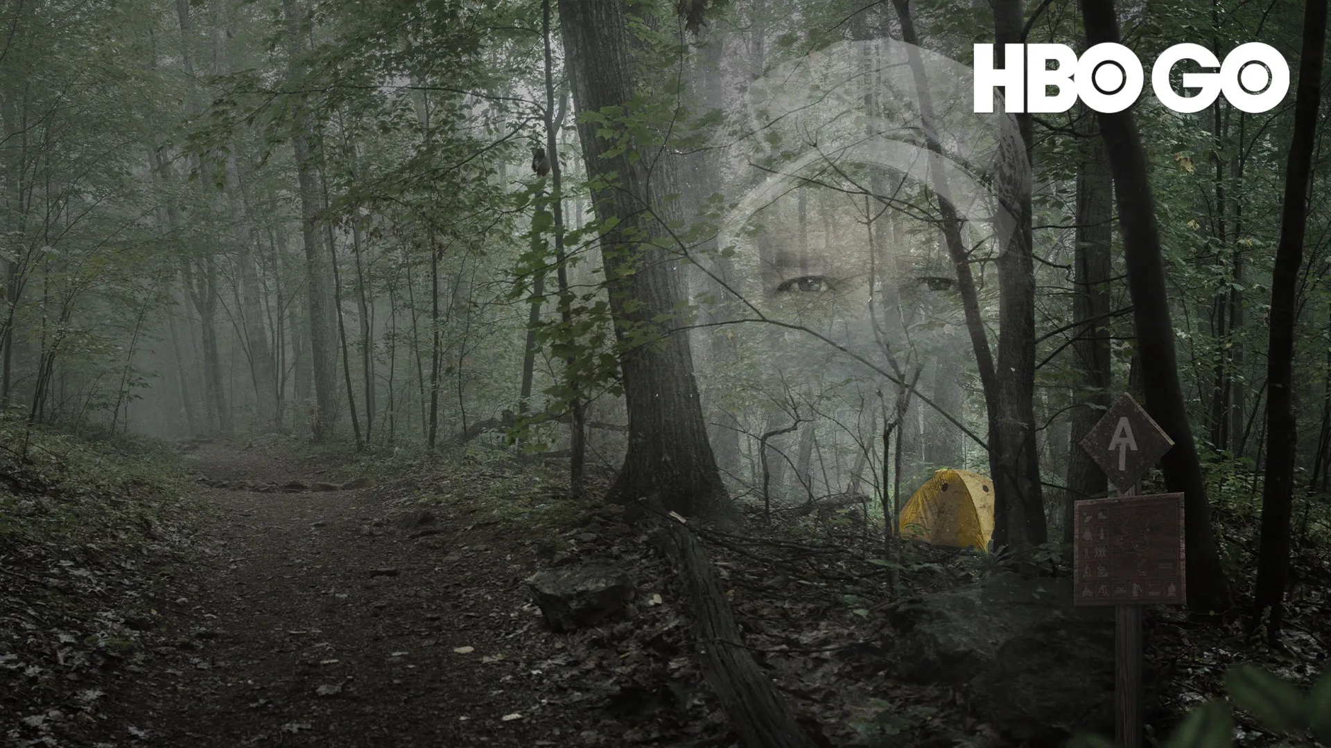 Họ Gọi Anh Ta Là Gần Như Vô Hại