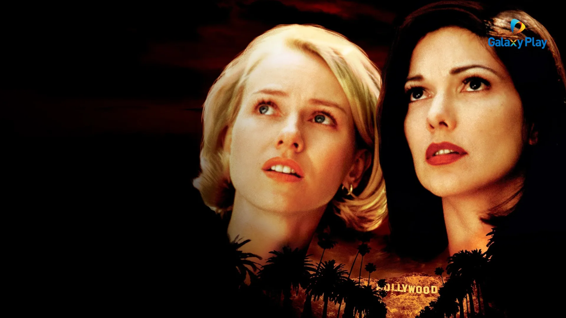 Con Đường Ảo Mộng