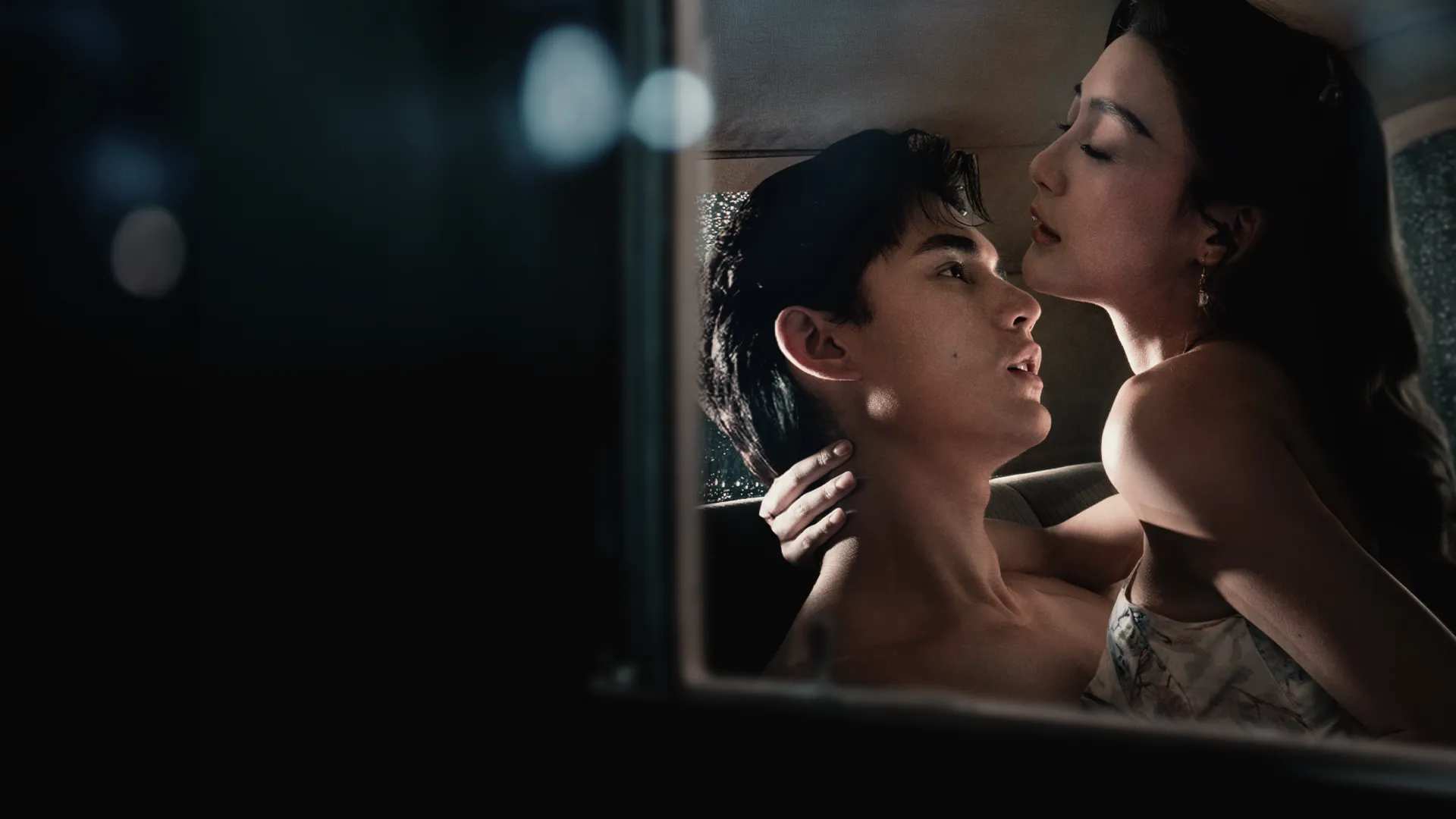 Cánh Chim Giấu Tình