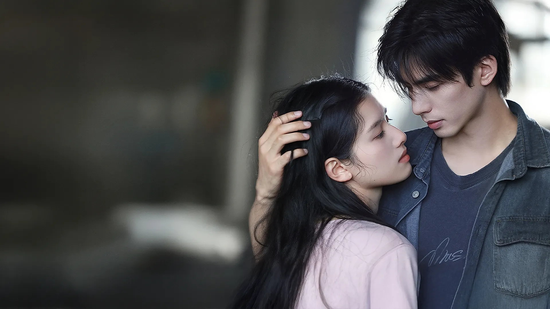 Chó Hoang Và Xương