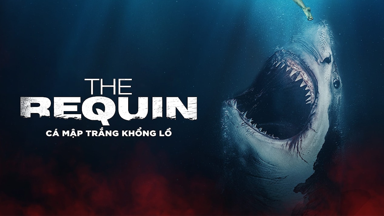 The Requin The Requin