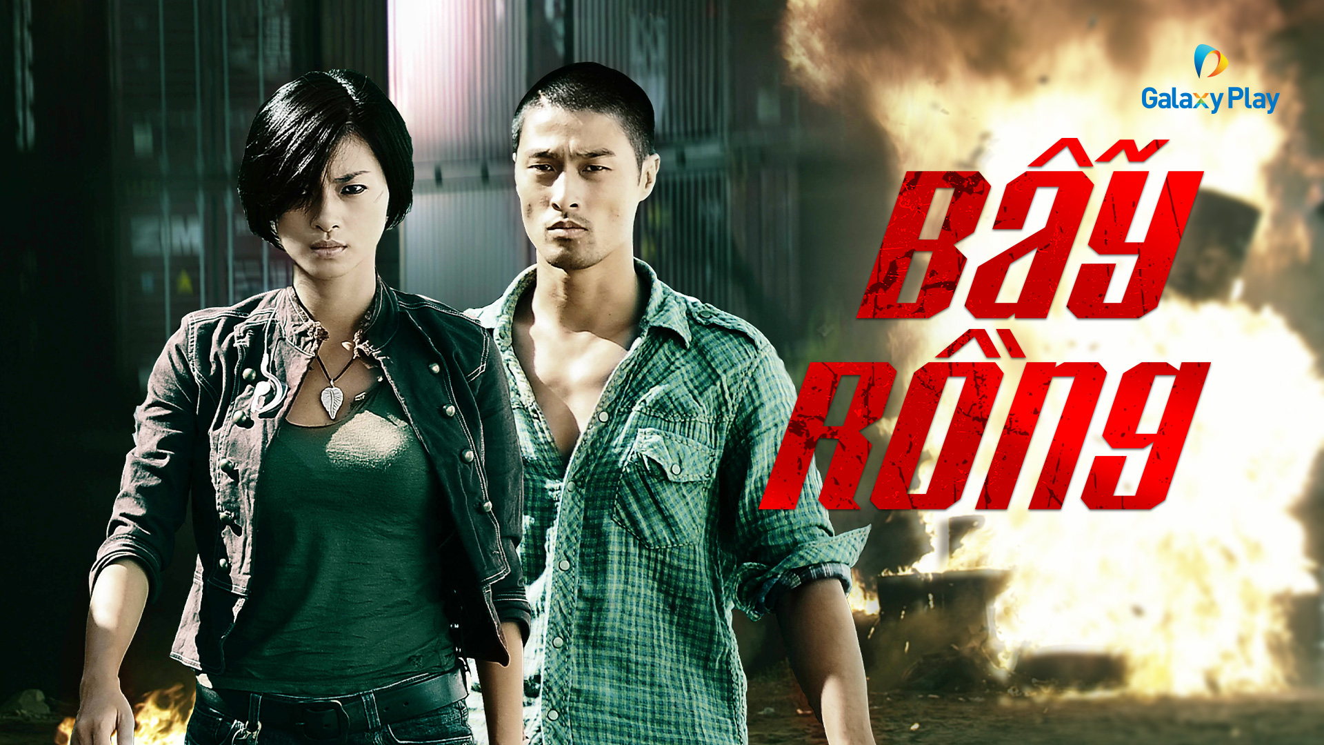 Bẫy Rồng 2009 | VieON