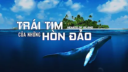 Trái Tim Của Những Hòn Đảo