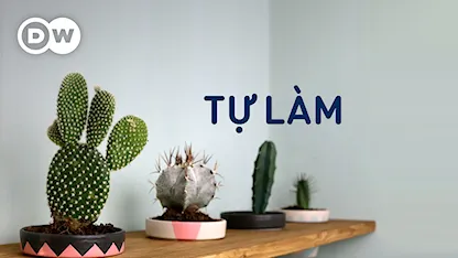 Tự Làm
