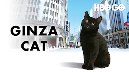 Ginza Cat - Phần 1 - 19 - Ryuichi Honda - Yamadera Kōichi