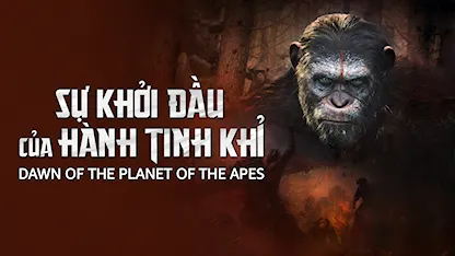 Sự Khởi Đầu Của Hành Tinh Khỉ - Dawn Of The Planet Of The Apes - 28 - Matt Reeves - Keri Russell - Andy Serkis - Gary Oldman - Jason Clarke