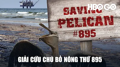 Giải Cứu Chú Bồ Nông Thứ 895