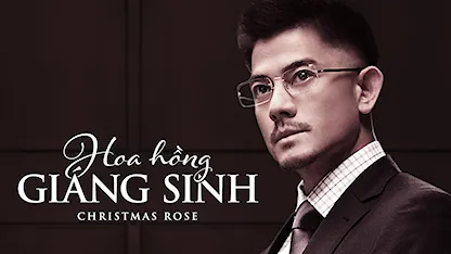 Hoa Hồng Giáng Sinh Hoa Hồng Giáng Sinh
