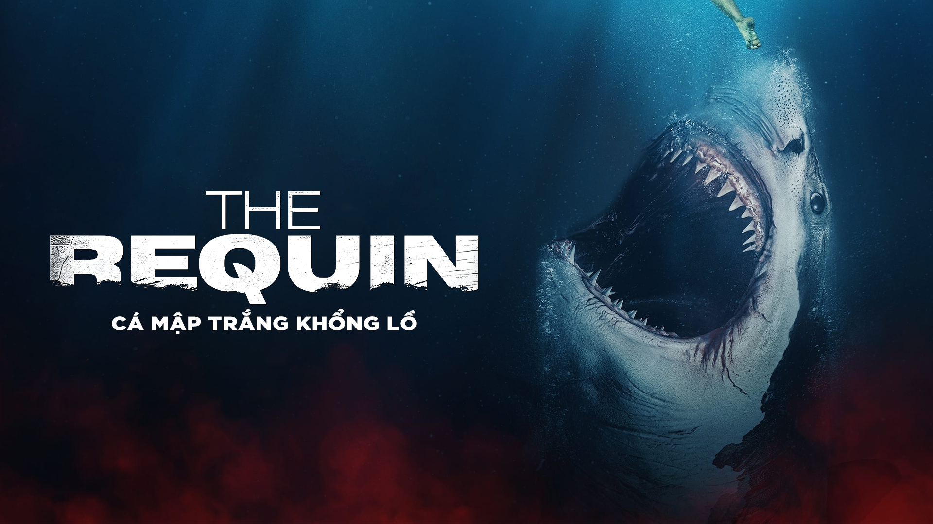 The Requin (2022)