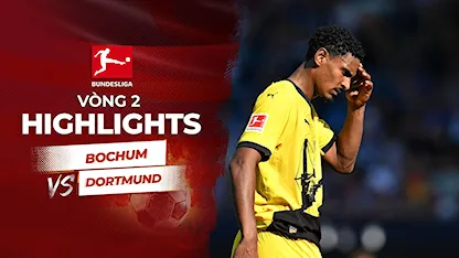 Highlights Bochum - Dortmund (Vòng 2 - Giải VĐQG Đức 2023/24)
