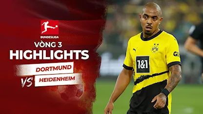 Highlights Dortmund - Heidenheim (Vòng 3 - Giải VĐQG Đức 2023/24)