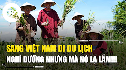 Trên mạng có gì: Khách Tây sang Việt Nam làm đồng áng