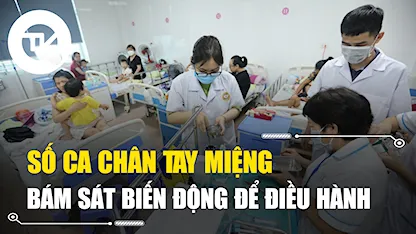 Số ca chân tay miệng ở Hà Nội tăng mạnh