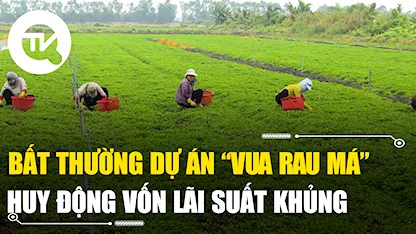 Bất thường dự án “Vua rau má” huy động vốn lãi suất khủng