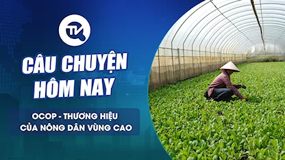 Câu chuyện hôm nay: OCOP - Thương hiệu của nông dân vùng cao